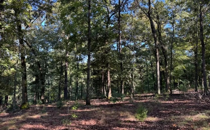 Pictures of Land property located at 135 W Van Buren, 8128, AR 72632 for sales - image #1