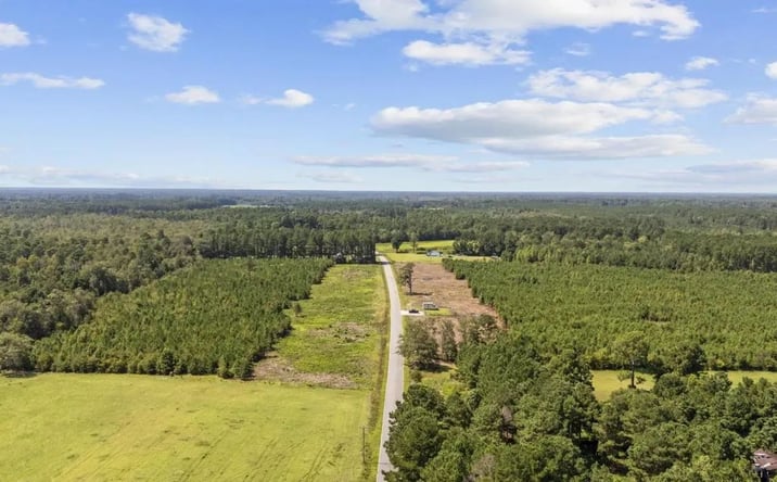Pictures of Land property located at Lot 8 Black Creek Road, 116191, SC 29581 for sales - image #1