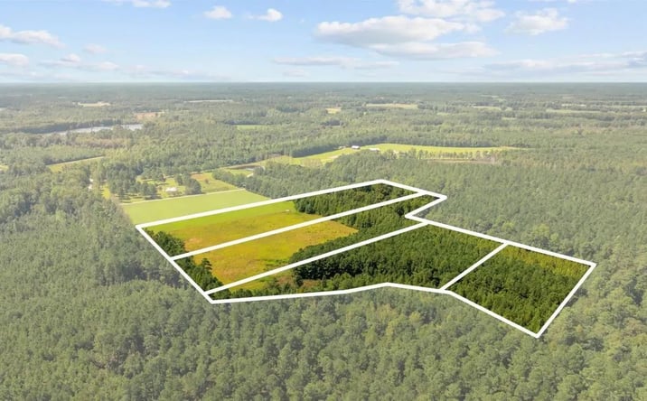 Pictures of Land property located at Lot 1 Womack Road, 116191, SC 29581 for sales - image #1