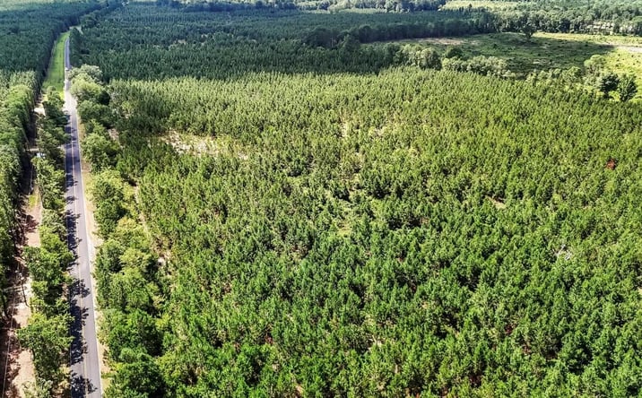 Pictures of Land property located at Lot 1 Old 96 Indian Trail, 117387, SC 29164 for sales - image #1
