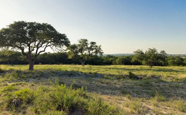 Pictures of Land property located at 00 TBD Triple 3 Ranch, 124024, TX 78606 for sales - image #1