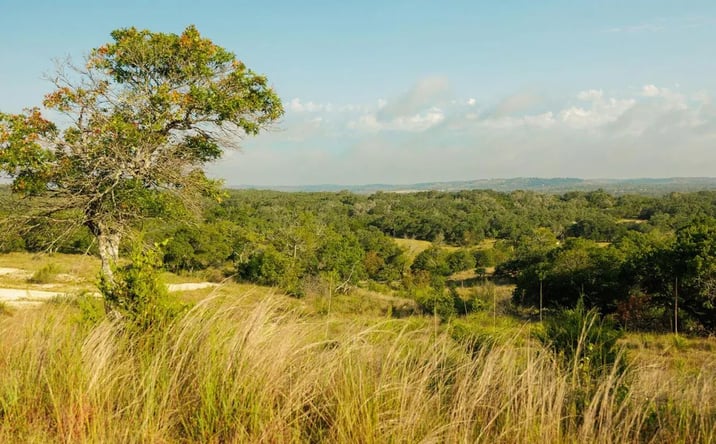 Pictures of Land property located at 3067 Ranch Road 1888, 124024, TX 78606 for sales - image #1