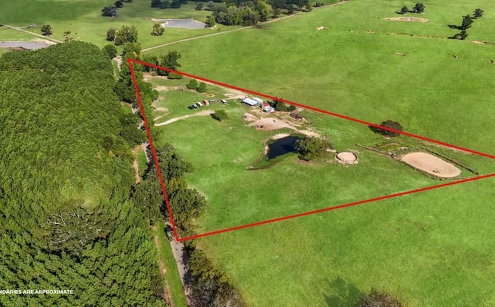 Pictures of Land property located at 1786 Co Rd 1070, 127559, TX 75455 for sales - image #1