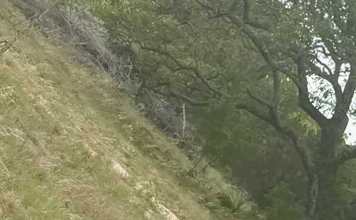 Pictures of Land property located at 1681 Rocky Hollow Drive, 124305, TX 78611 for sales - image #1