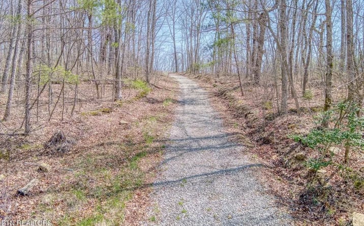 Pictures of Land property located at 74 Black Cat Trail, 122332, TN 37854 for sales - image #1