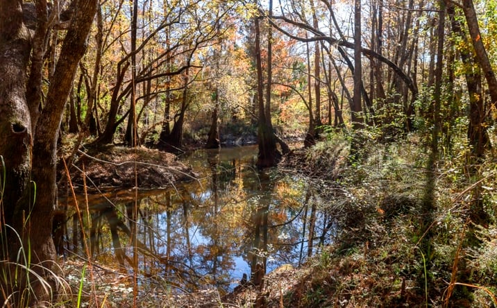 Pictures of Land property located at Twin Forks Rd/Martin Rd, Statesboro, GA 30458 for sales - image #1