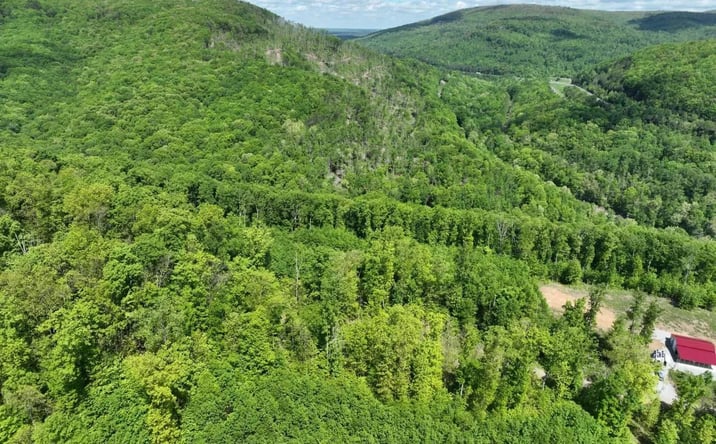 Pictures of Land property located at Lot 7 Lower Eagles Nest Road, 119584, TN 37723 for sales - image #1
