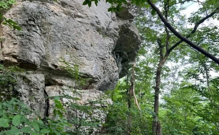 Pictures of Land property located at 9999 Sunrise Valley Road Tract 3, 46802, KY 40336 for sales - image #1