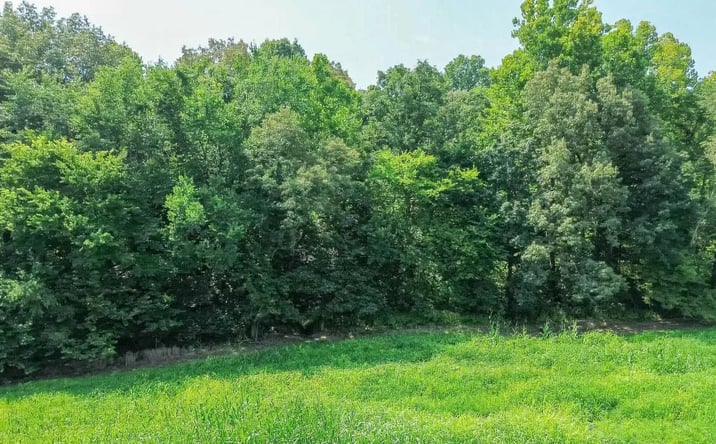 Pictures of Land property located at 0000 Childress Road 1, 46925, KY 42053 for sales - image #1
