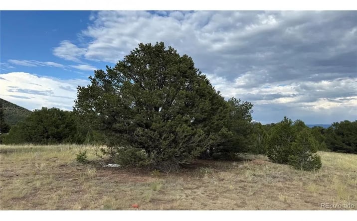 Pictures of Land property located at (TBD) 21st Trail, 16216, CO 81223 for sales - image #1