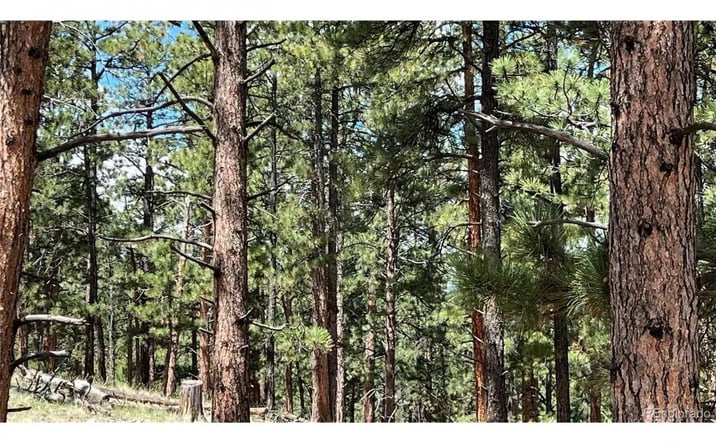 Pictures of Land property located at 207 Little Bear Drive, 17503, CO 81252 for sales - image #1