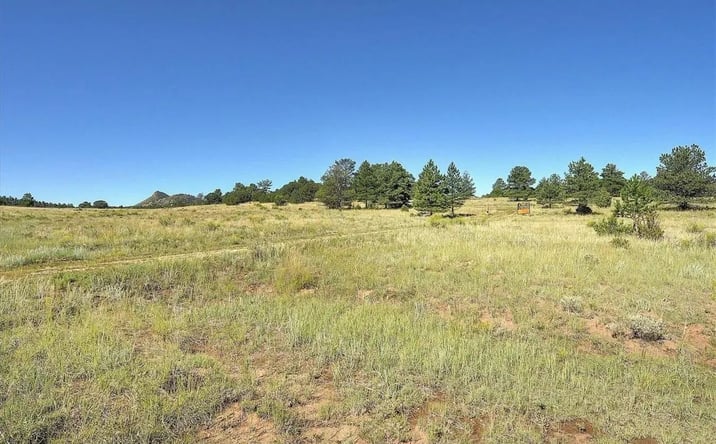Pictures of Land property located at 1106 Hull Avenue, 17503, CO 81252 for sales - image #1