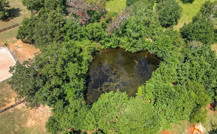 Pictures of Land property located at 5030 Tumbleweed Drive, 113830, SC 29805 for sales - image #1