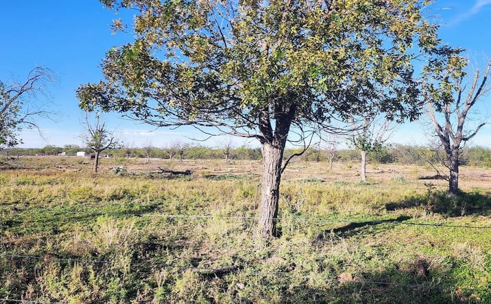 Pictures of Land property located at TBD Orchard Lane, 129096, TX 76941 for sales - image #1