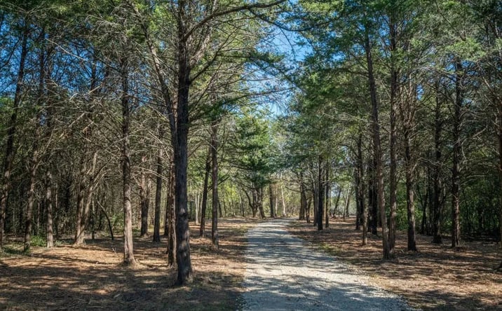 Pictures of Land property located at TBD CR 2226, 124328, TX 75135 for sales - image #1