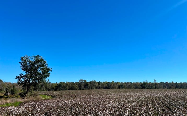 Pictures of Land property located at Bowen Hill Rd., Garfield, GA 30425 for sales - image #1