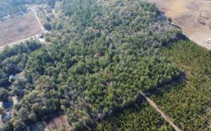 Pictures of Land, Hospitality, Industrial, Multifamily, Office, Special Purpose property located at Jeffcoat Road, Wagener, SC 29164 for sales - image #1