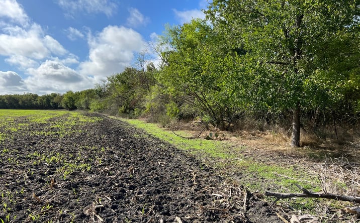 Pictures of Land property located at TBD County Road 117, Rogers, Texas 76569, Rogers, TX 76569 for sales - image #1