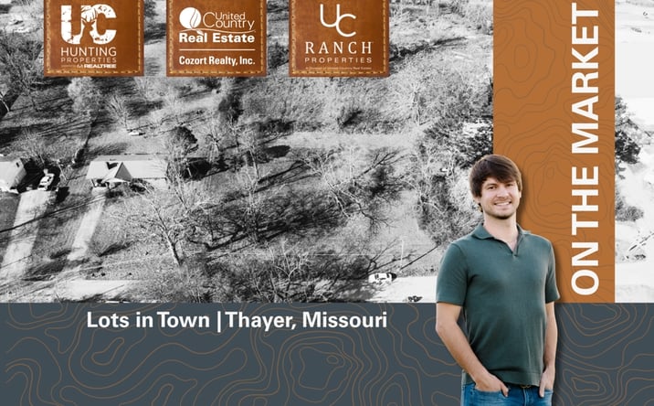 Pictures of Land property located at 000 North 9th Street, Thayer, MO 65791 for sales - image #1