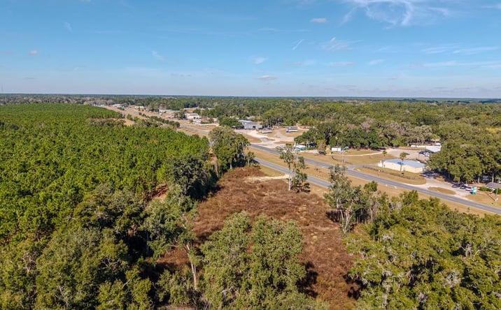 Pictures of Land property located at NE Hwy 27, Williston, FL 32696 for sales - image #1