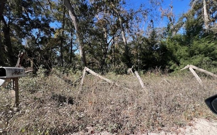 Pictures of Land property located at NE 752nd St, Old Town, FL 32680 for sales - image #1