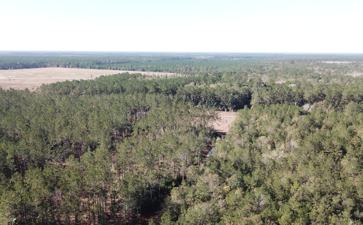 Pictures of Land property located at Hunting Lodge, Kountze, TX 77625 for sales - image #1