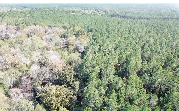 Pictures of Land property located at Farm to Market Rd 770, Kountze, TX 77625 for sales - image #1
