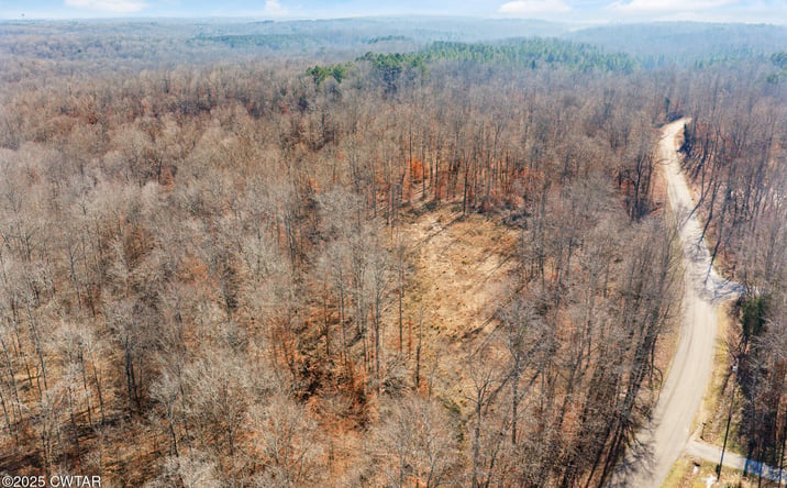 Pictures of Land property located at Holladay Rd, Parsons, TN 38363 for sales - image #1