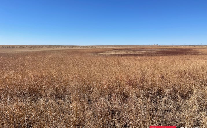 Pictures of Land property located at 6000-6098 Hawaii Road, Levelland,, Levelland, TX 79336 for sales - image #1