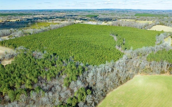 Pictures of Land property located at Will Brown Rd, Siler City, NC 27344 for sales - image #1