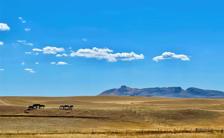 Pictures of Land property located at NHN County Road 440 E, Havre, MT 59501 for sales - image #1