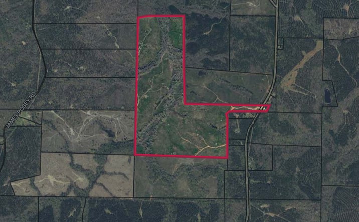 Pictures of Land property located at Talbot County-Tract 32004A, Junction City, GA 31812 for sales - image #1