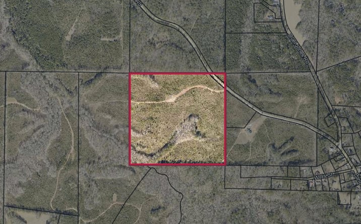 Pictures of Land property located at Harris County- Tract 32036B, Waverly Hall, GA 31831 for sales - image #1