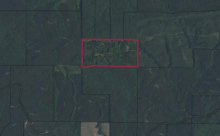 Pictures of Land property located at Talbot County-Tract 32013D, Waverly Hall, GA 31831 for sales - image #1