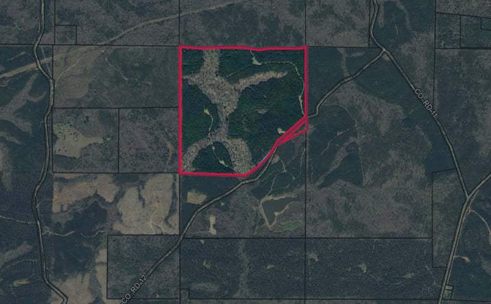 Pictures of Land property located at Talbot County- Tract 32008A, Talbotton, GA 31810 for sales - image #1