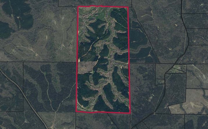Pictures of Land property located at Talbot County-Tract 32006A, Junction City, GA 31812 for sales - image #1