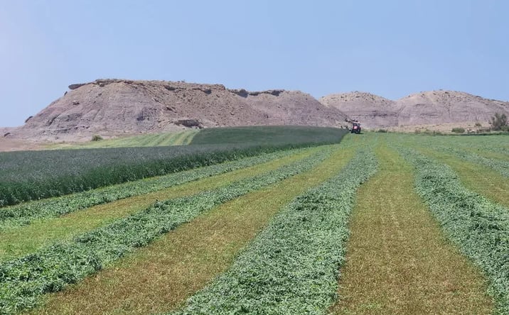 Pictures of Land property located at Pleasant Valley Rd, Pleasant Valley, UT 84052 for sales - image #1