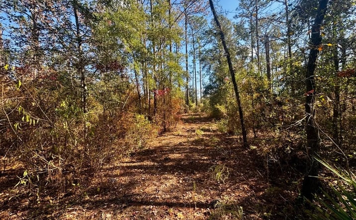 Pictures of Land property located at Vacant NE Timber River Loop, Lee, FL 32059 for sales - image #1