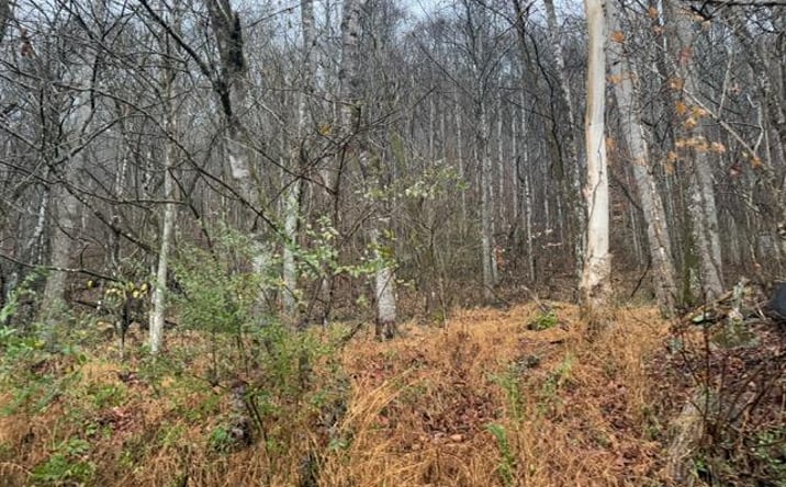 Pictures of Land, Multifamily property located at TBD N Fork River Rd, Abingdon, VA 24210 for sales - image #1