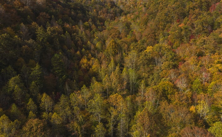 Pictures of Land property located at 0 Livesay Chapel Road, Kyles Ford, TN 37765 for sales - image #1