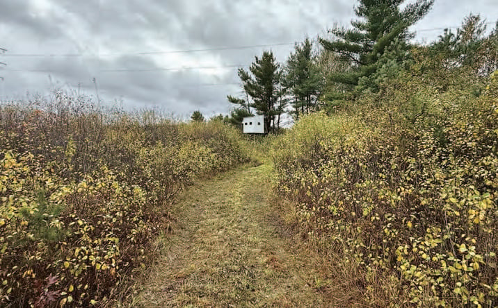 Pictures of Land property located at Julianna Rd, Black River Falls, WI 54615 for sales - image #1