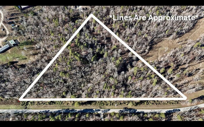 Pictures of Land property located at State Highway O, Grandin, MO 63943 for sales - image #1