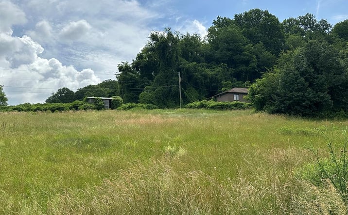 Pictures of Mixed Use, Hospitality, Special Purpose property located at 28226 Hillman Highway, Meadowview, VA 24361 for sales - image #1