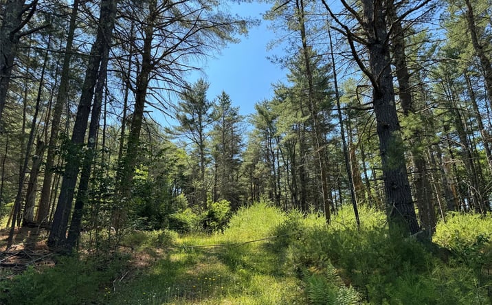 Pictures of Land, Multifamily property located at 1315 Sackett Lake Rd, Forestburgh, NY 12777 for sales - image #1