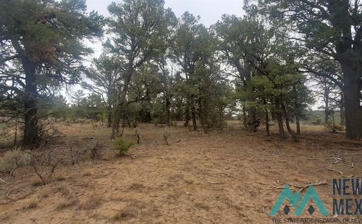 Pictures of Land, Special Purpose property located at Cr 322 Drive, Los Ojos, NM 87551 for sales - image #1