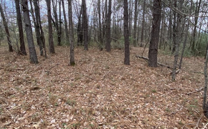 Pictures of Land property located at 1434 Key Corner St Extension, Brownsville, TN 38012 for sales - image #1