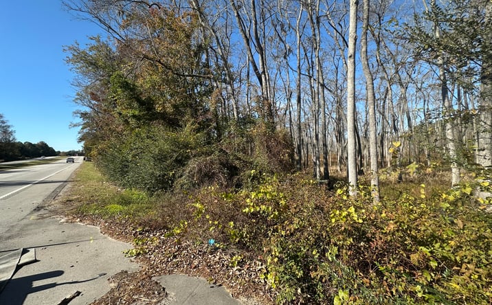 Pictures of Land, Multifamily property located at Five Chop Road, Elloree, SC 29047 for sales - image #1