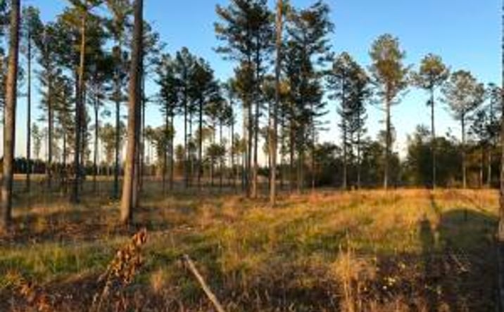 Pictures of Land property located at 00/Lot 48 Snipes Pond Road, Aiken, SC 29805 for sales - image #1