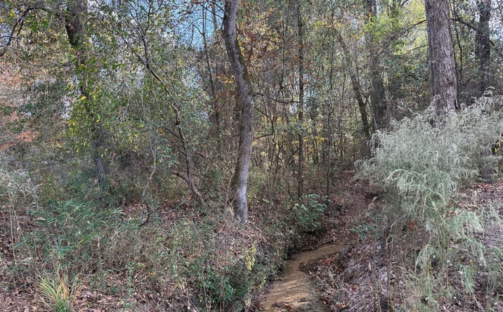 Pictures of Land property located at Robinson Rd, Ellaville, GA 31806 for sales - image #1