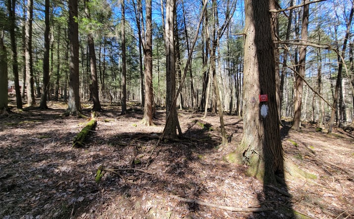 Pictures of Land property located at Lot 1 Bugling Bull Ln., Benezette, PA 15821 for sales - image #1